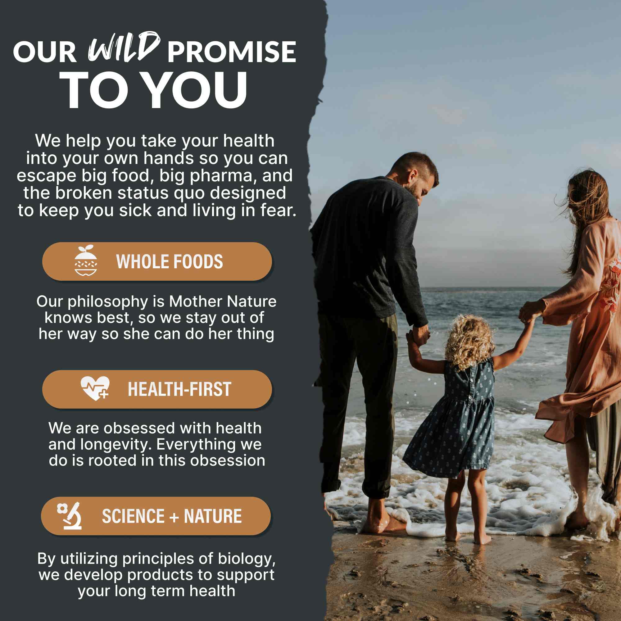 13 Mushroom Complex, 30 servings - Immunity and Longevity Support by Wild Foods