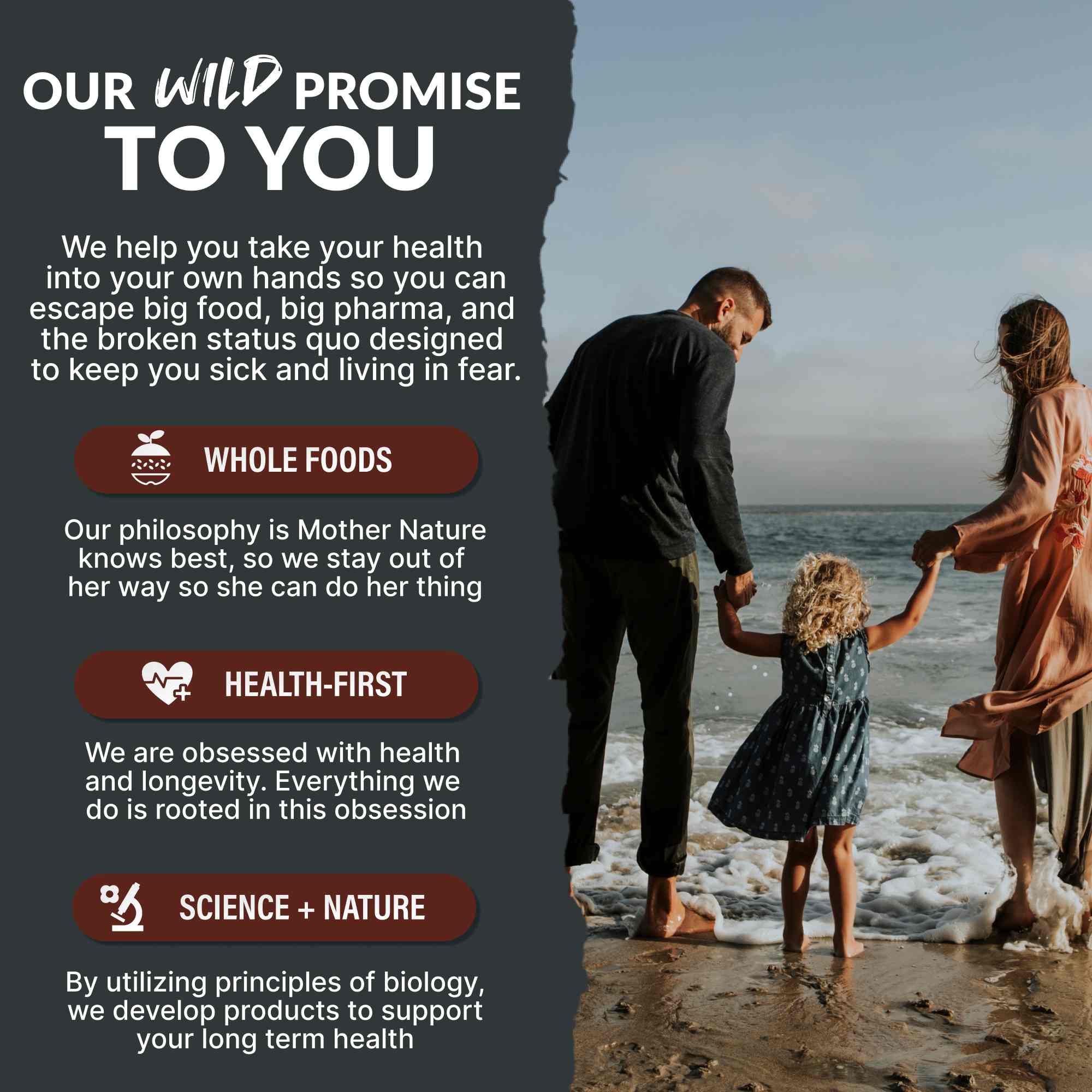 Cocoa Powder, 57 servings - Single-Origin Antioxidant by Wild Foods