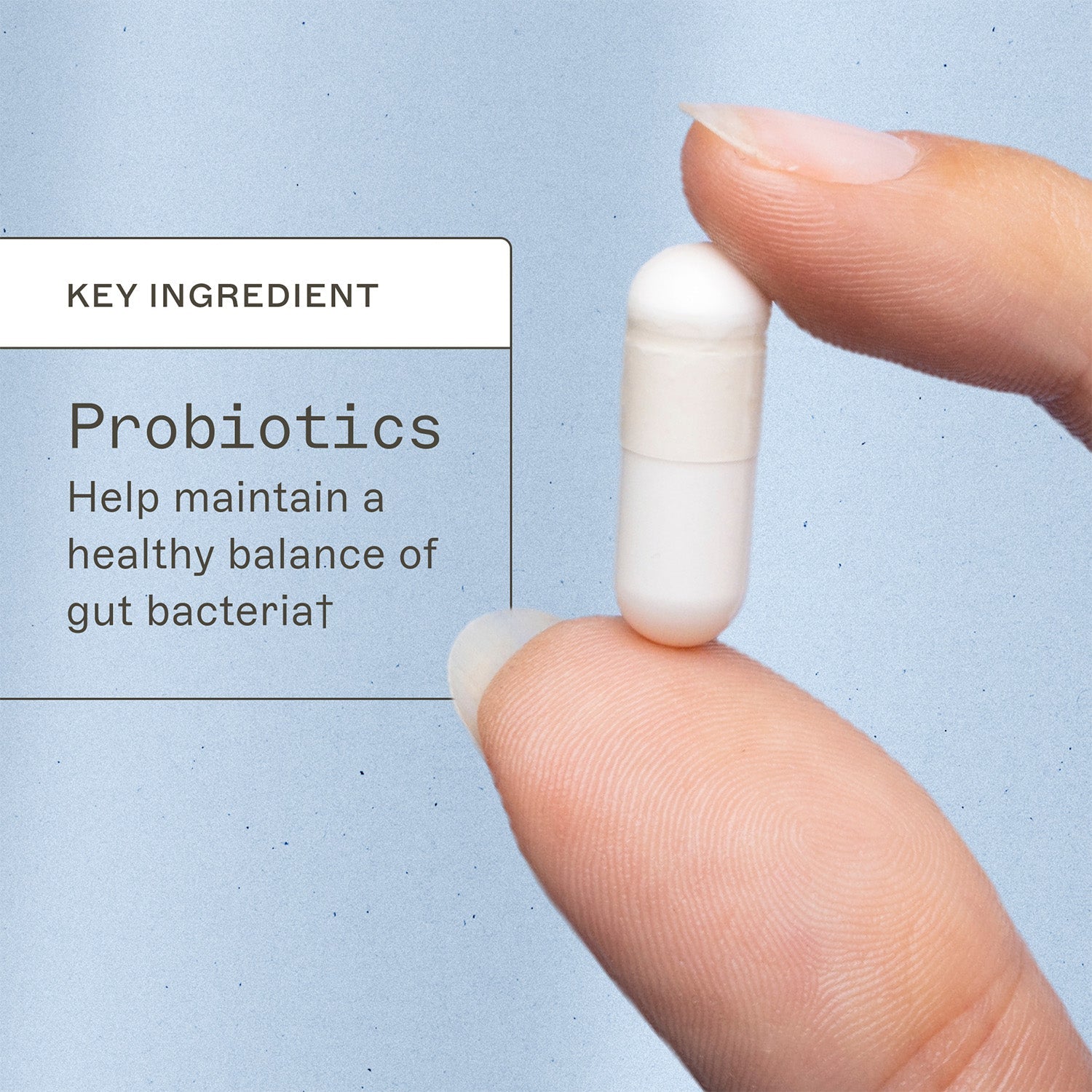 Probiotic 100 Billion key ingredient. Probiotics, help maintain a healthy balance of gut bacteria†.