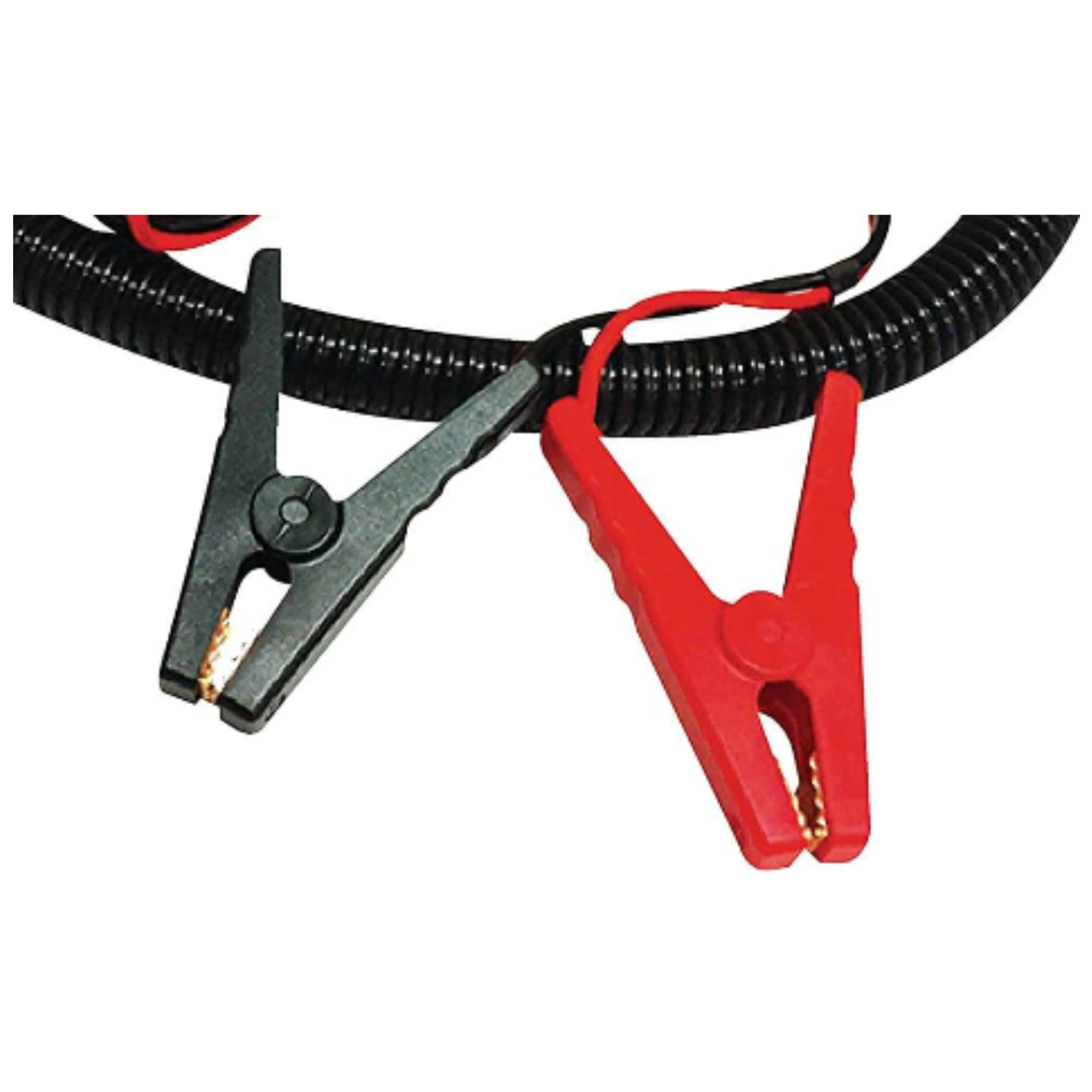 WOW Watersports 3.0 PSI DC Pump by Jupiter Gear