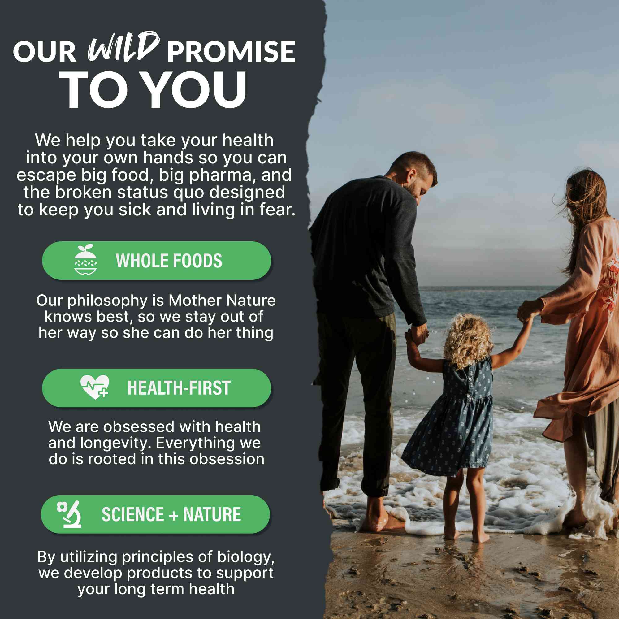 Cold Process Grass-Fed Whey Protein, Non-denatured, Pasture-Raised Cows by Wild Foods