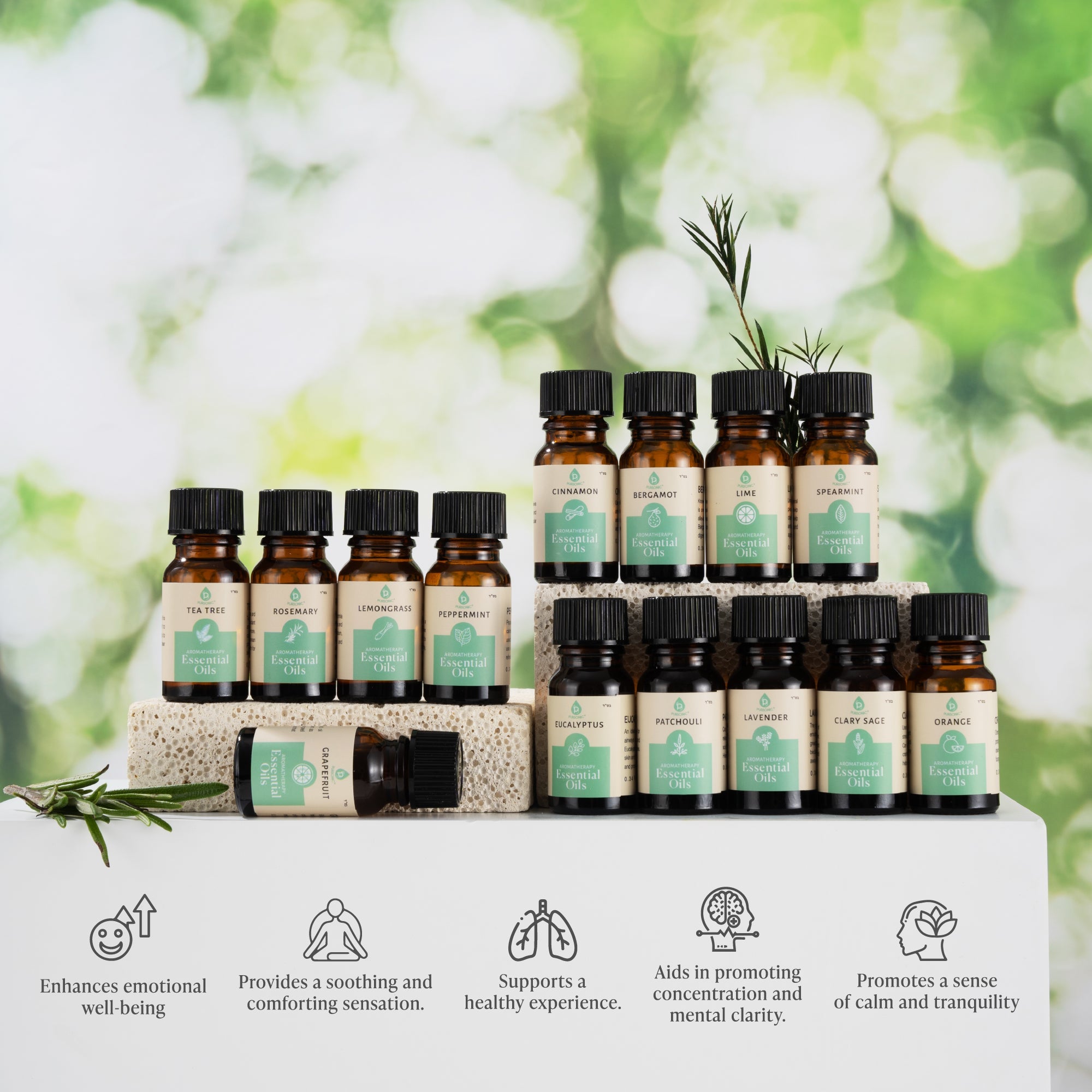 Seasonal Scents Christmas Essential Oils Collection by Pursonic