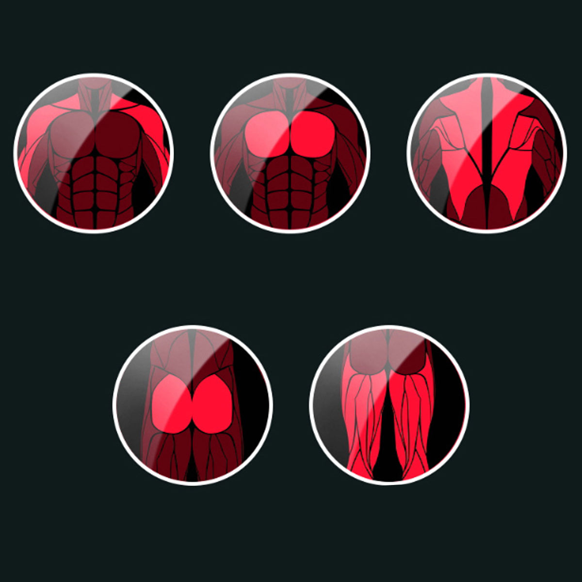 Mighty Massager Deep Tissue Massage Tool Vista Shops