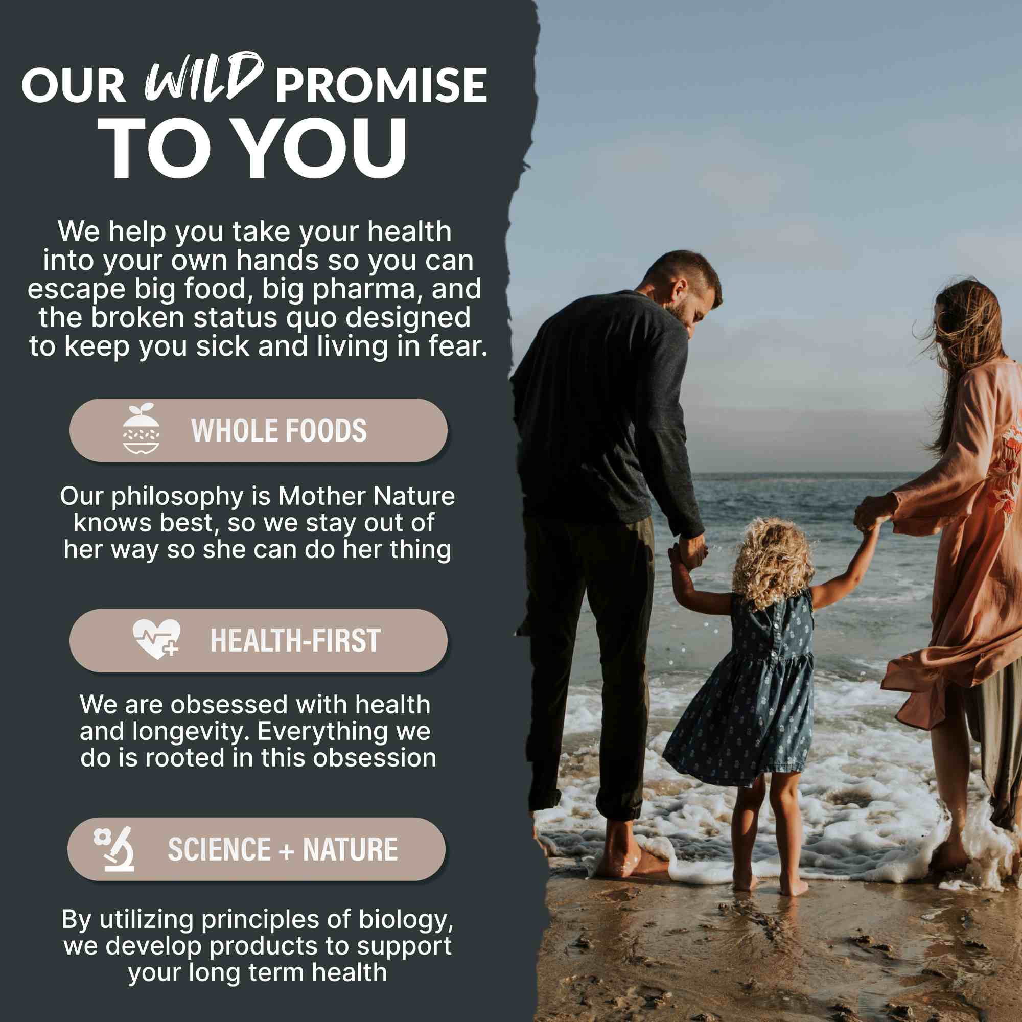 CocoTropic, 32 servings – Organic Mushroom Mix for Energy & Focus by Wild Foods