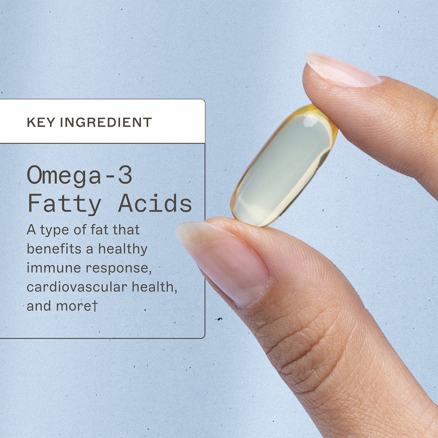 AMMD Complete Omega-3 Key Ingredient Infographic. Omega-3 fatty acids, a type of fat that benefits a healthy immune response, cardiovascular health, and more†