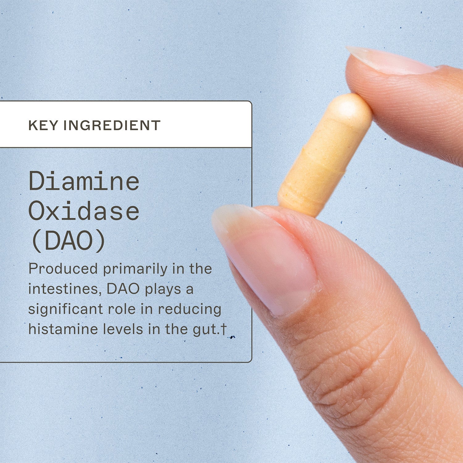 Histazyme by AMMD™ by Amy Myers MD®