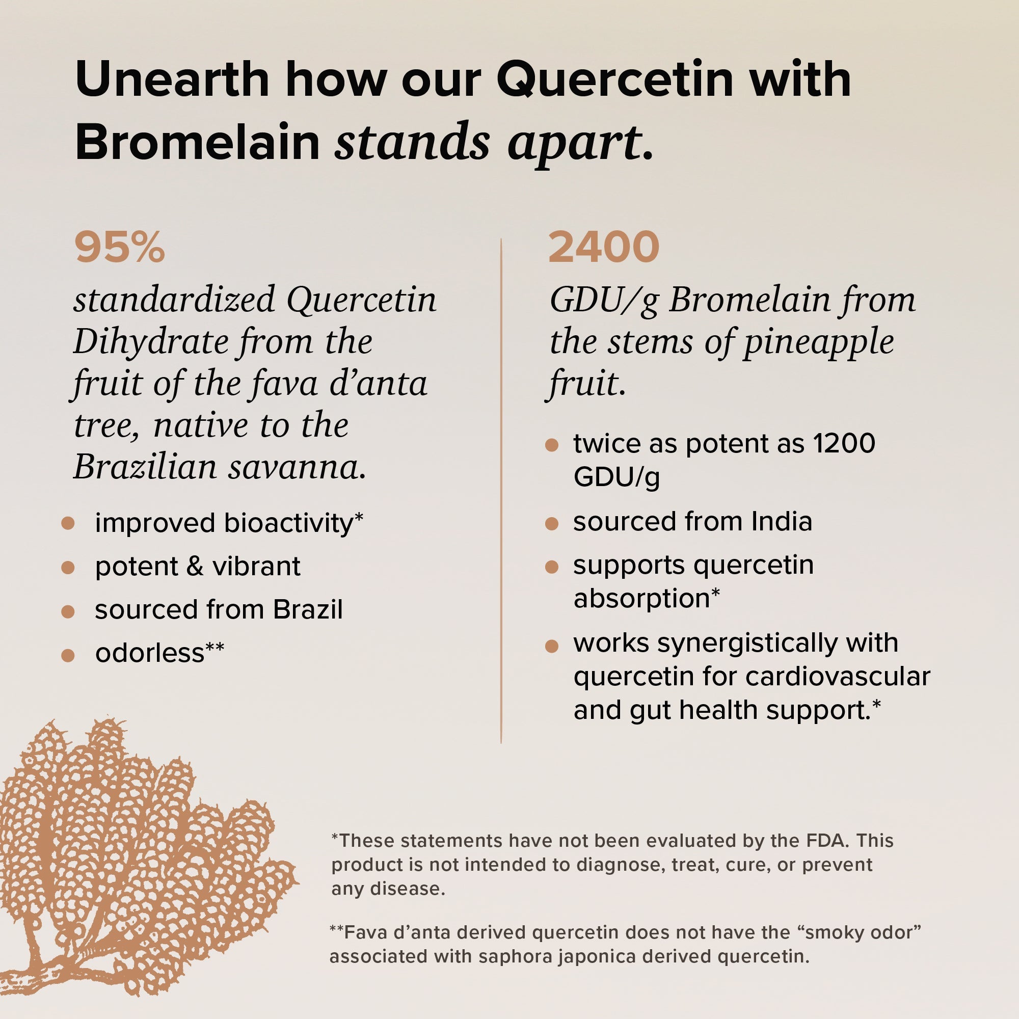 Quercetin with Bromelain by Rootcha