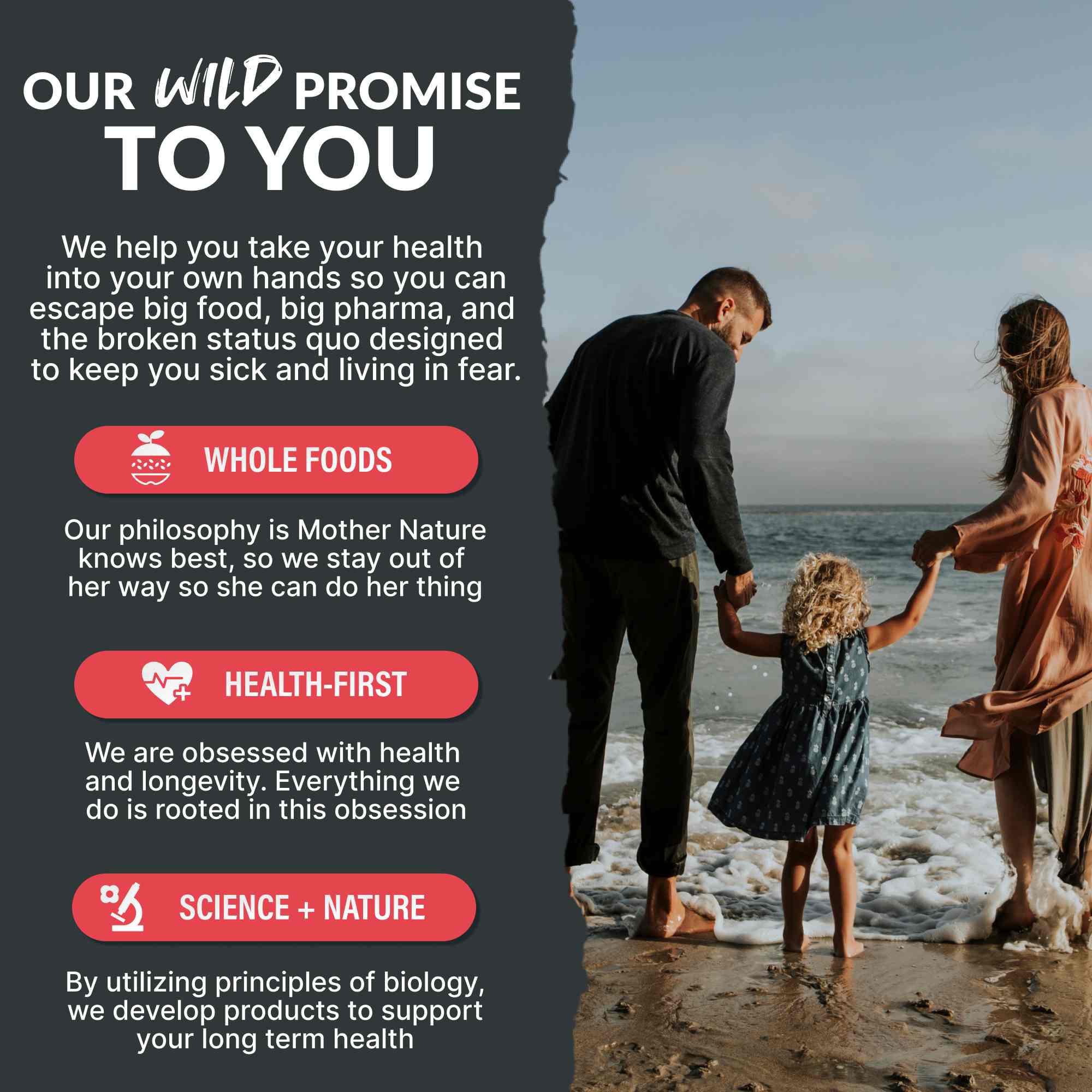 Master Mushrooms Blend, 110 servings – Immune Boosting Adaptogenic Mushrooms by Wild Foods