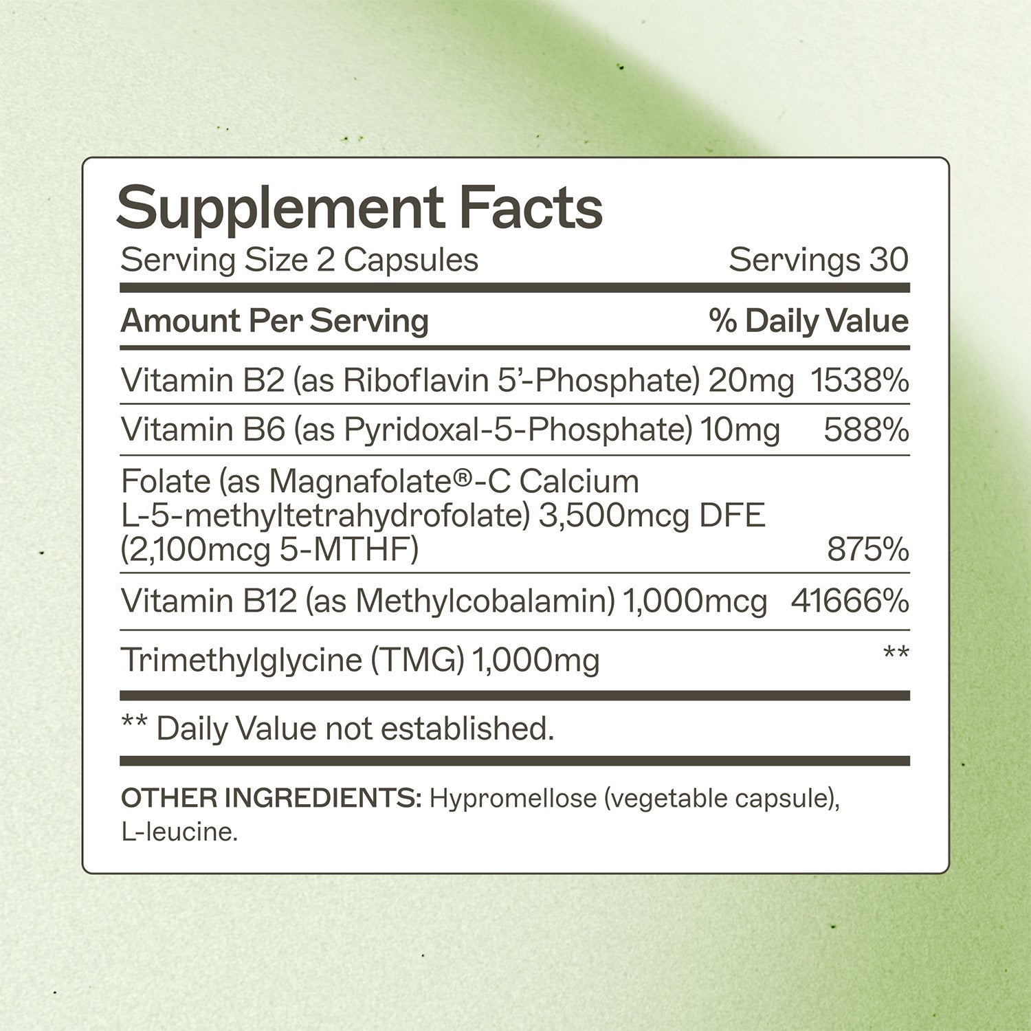 Methylation Support Supplement Facts Panel
