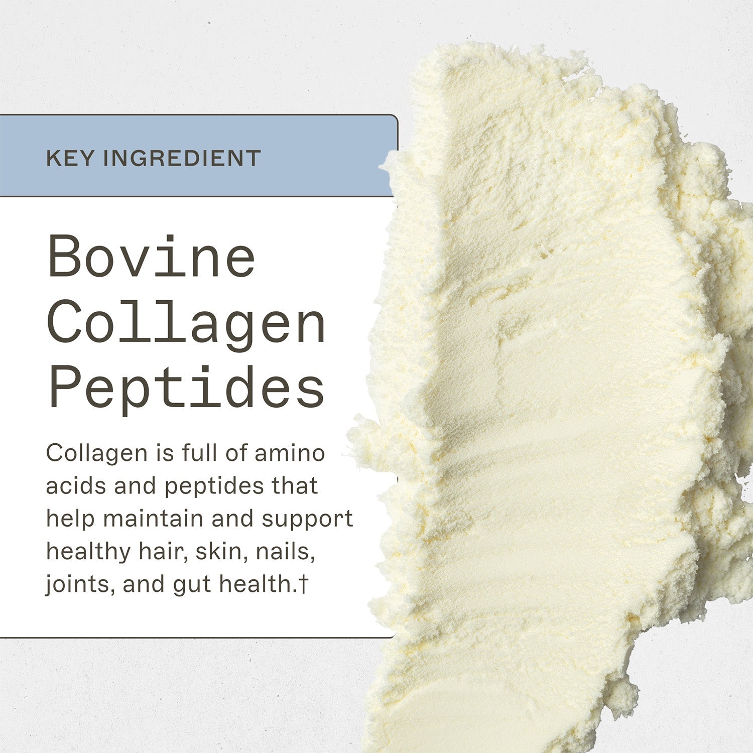 Paleo Protein Unflacored key ingredient, Bovine Collagen Peptides, collagen is full of amino acids and peptides that help maintain and support healthy hair, skin, nails, joints, and gut health†. 