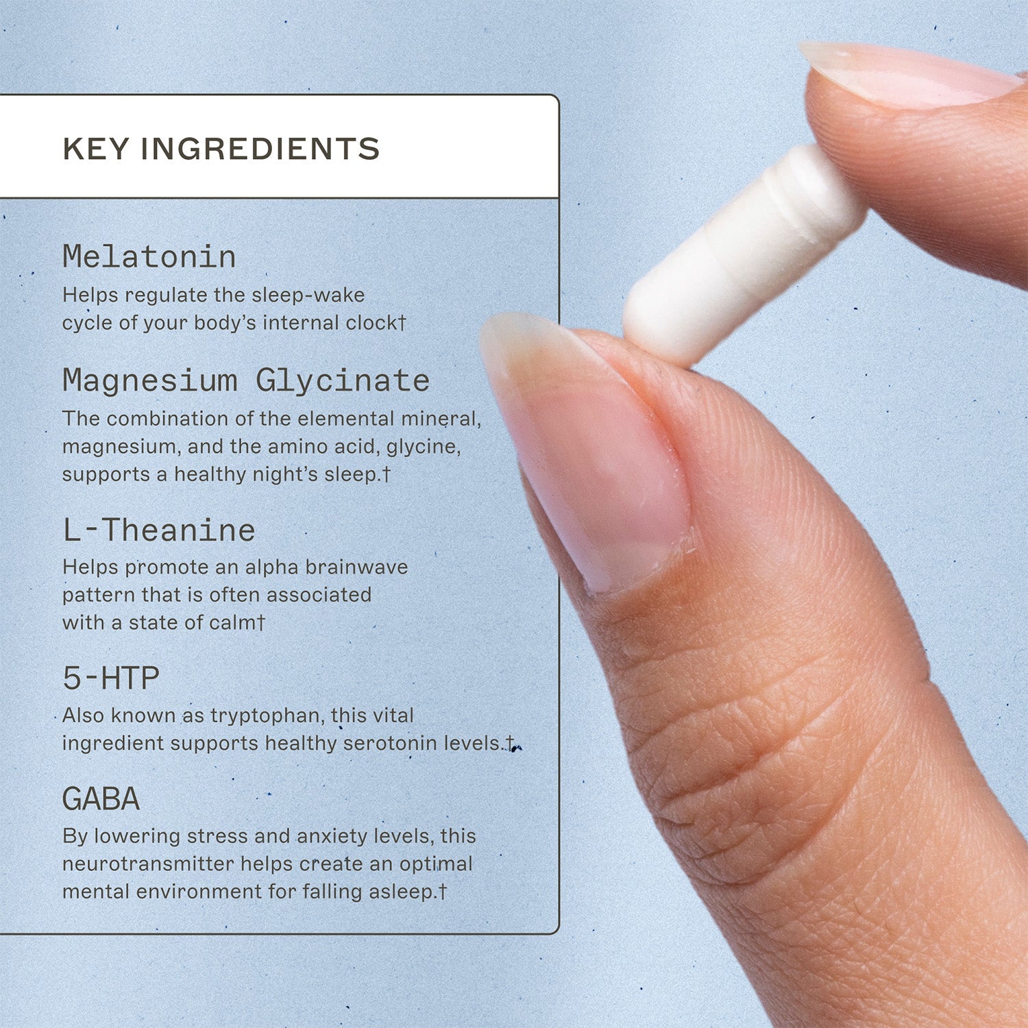 Rest and Restore with Melatonin key ingredients. Melatonin, helps regulate the sleep-wake cycle of you body's internal clock†. Magnesium glycinate. L-theanine, helps promote an alpha brainwave pattern that is often associated with a state of calm†. 5-HTP, also known as tryptophan, this vital ingredient supports healthy serotonin levels†. GABA, by lowering stress and anxiety levels, this neurotransmitter helps create an optimal mental environment for falling asleep†. 