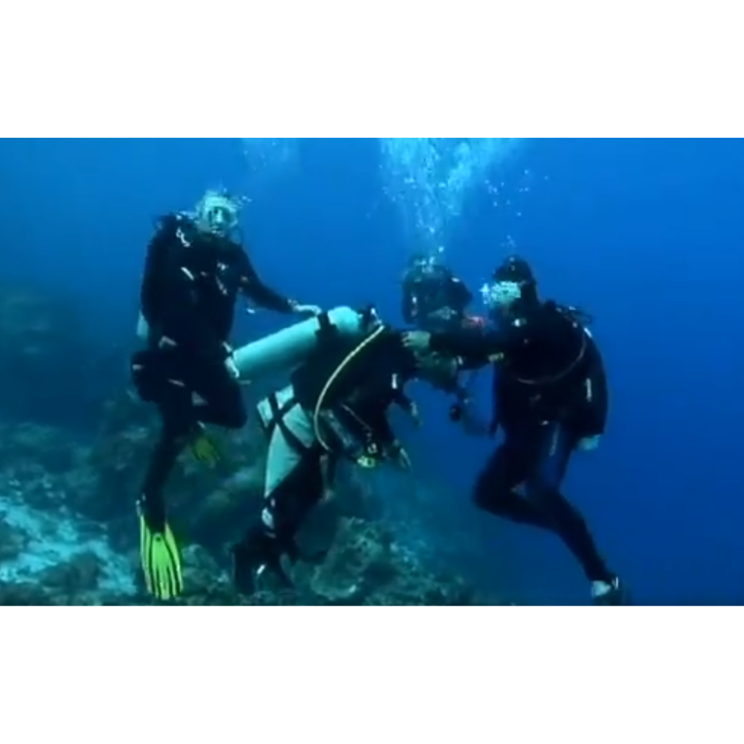 Comfort Carrier Patient Lift Sling for Wheelchair to Aircraft Transfers & Evacuation - FREE WORLDWIDE SHIPPING! by Inclusive Inc