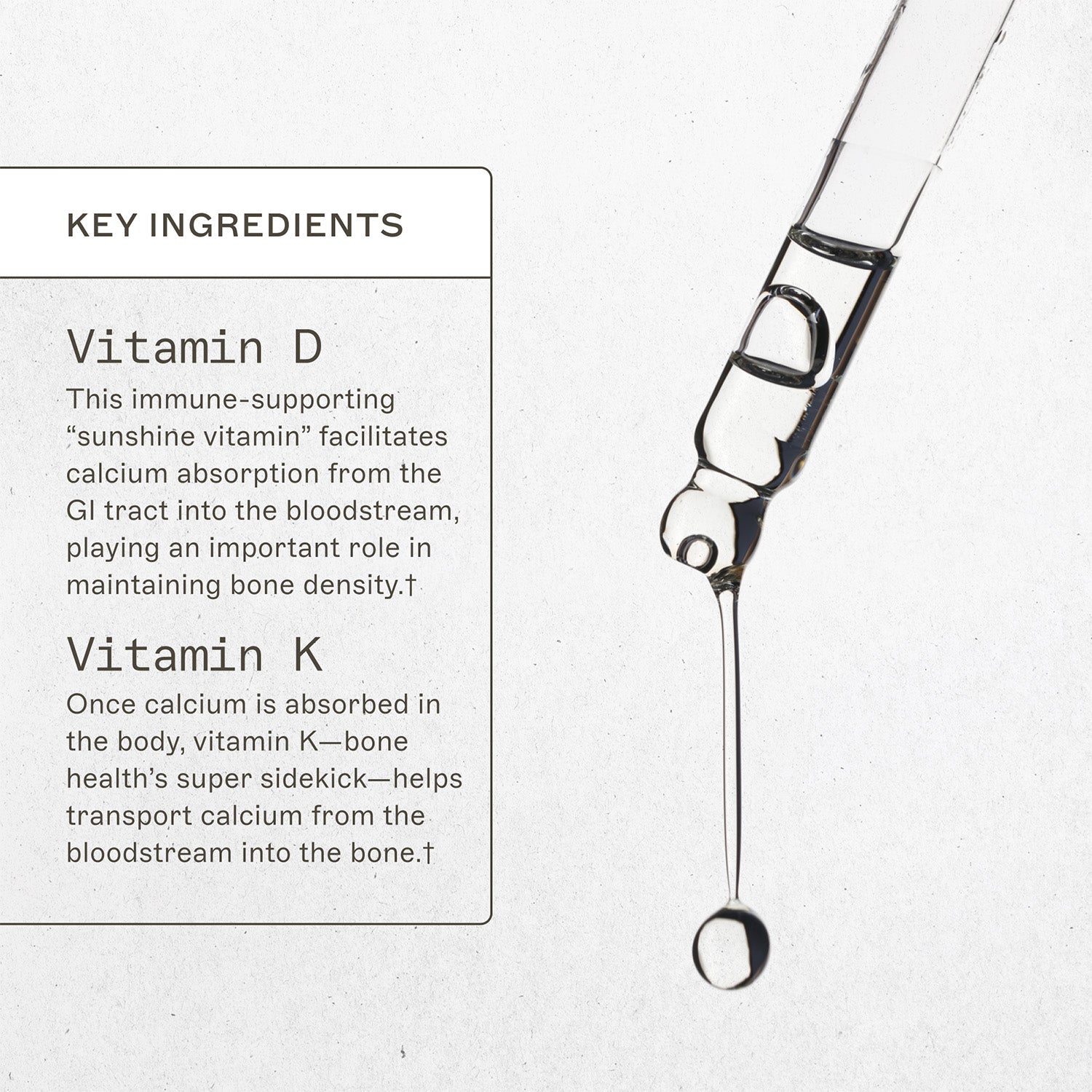 Vitamin D3 / K2 Liquid key ingredients. Vitamin D, this immune-supporting "sunshine vitamin" facilitaites calcium absorption from the GI tract into the bloodstream, playing an important role in maintaining bone density†. Vitamin K, once calcium is absorbed in the body, vitamin K-bone health's super sidekick-helps transport calcium from the bloodstream in the bone†. 