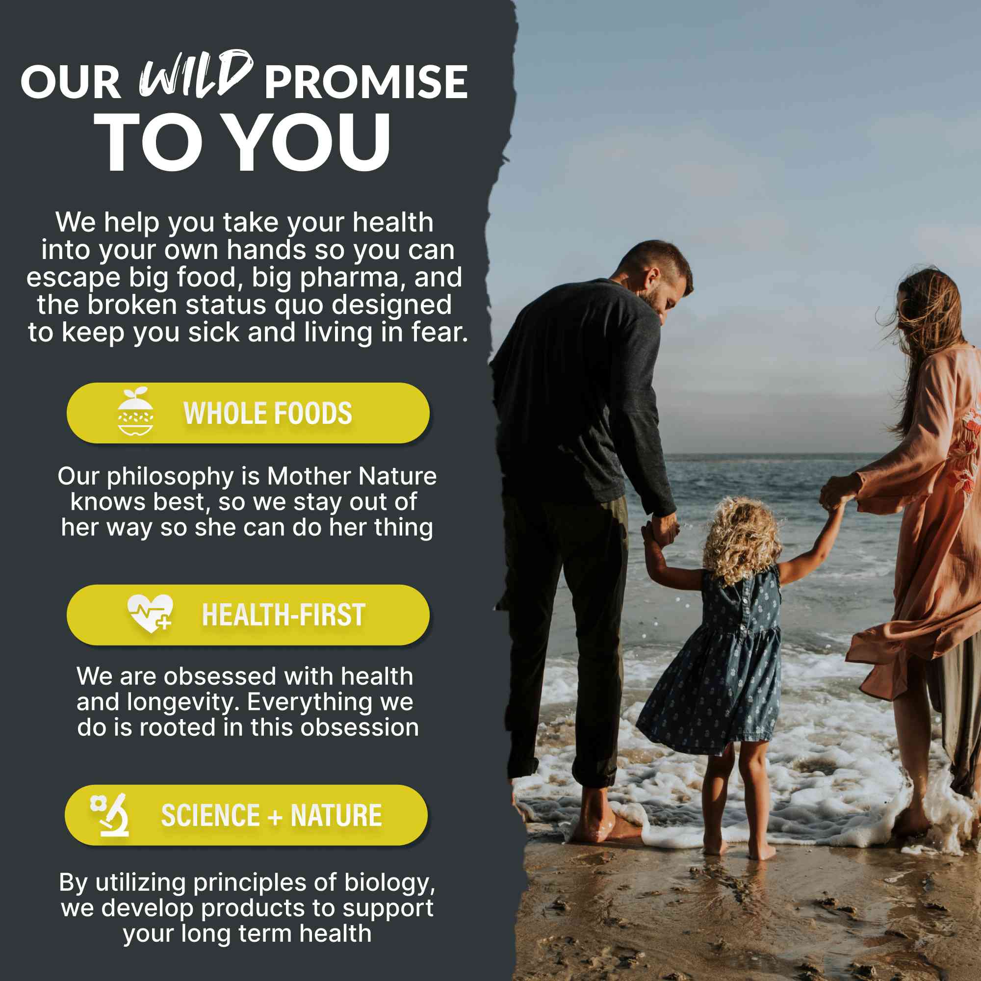 Vitamin K2 (MK-7) & Vitamin D3 (5000 IU) & Black Pepper Extract by Wild Foods