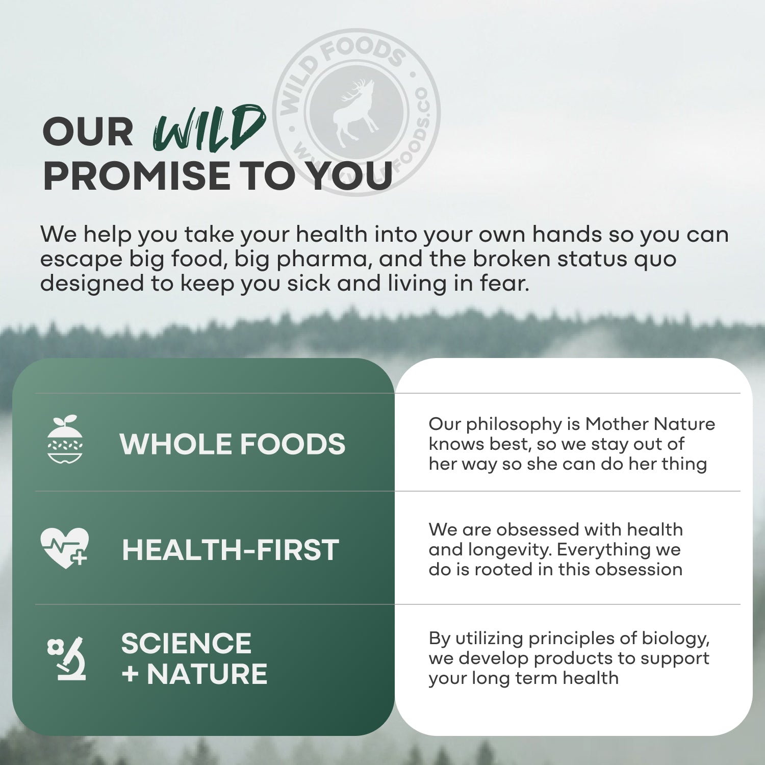 Methylated Whole Food Multivitamin by Wild Foods