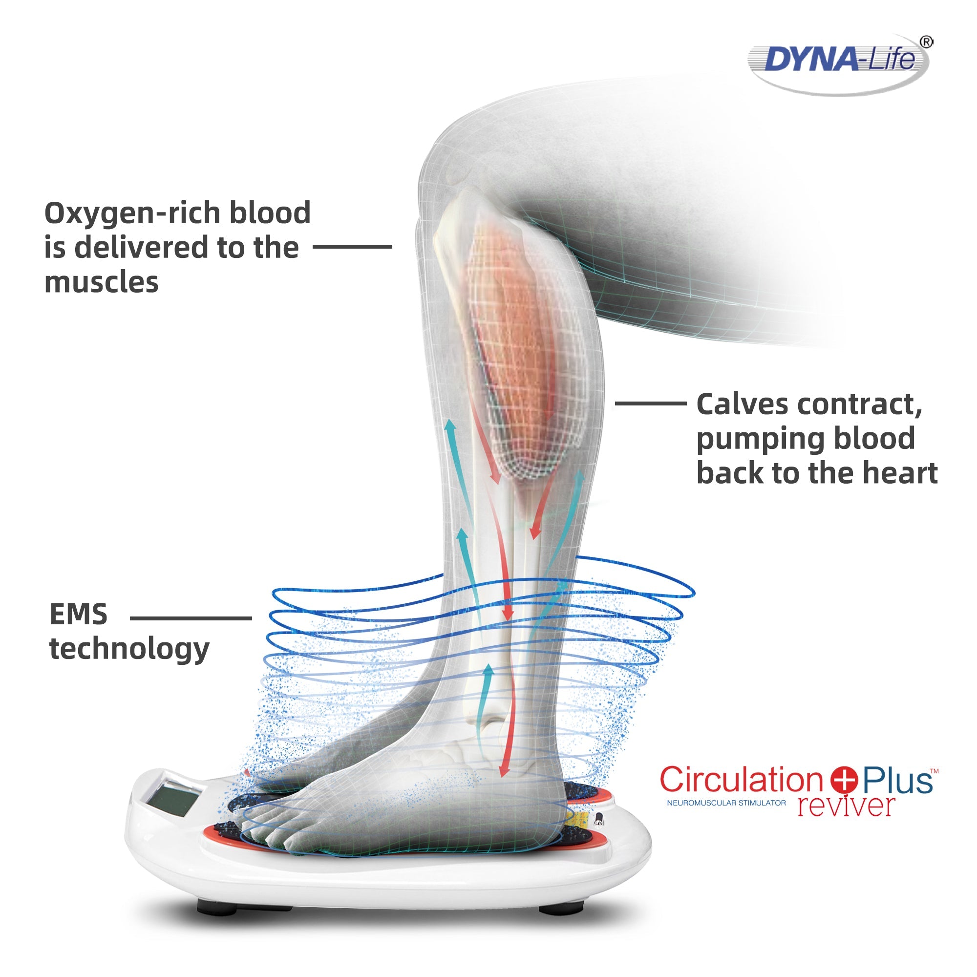Circulation Maxx Reviver by PlayMakar