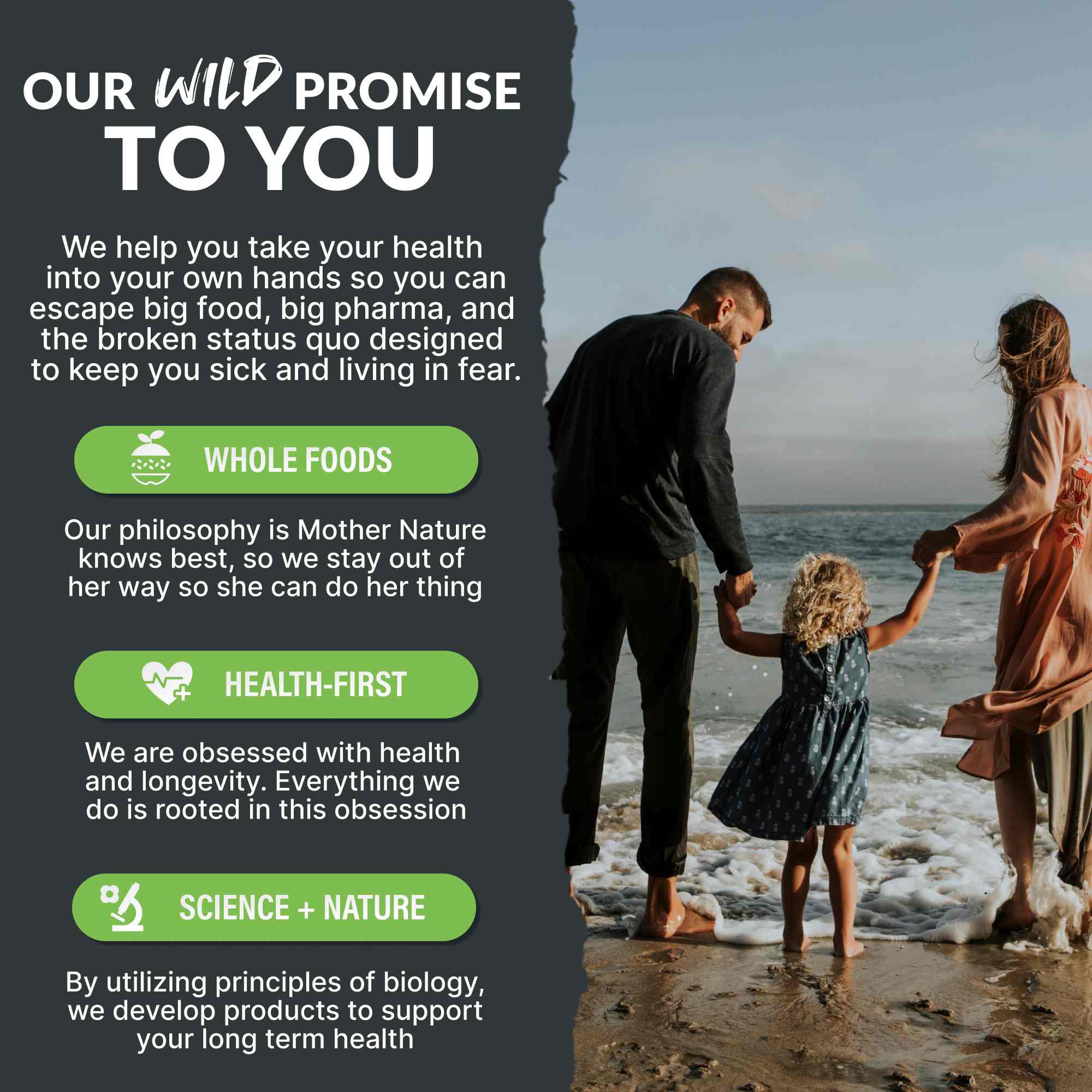 Prebiotics & Probiotics, 30 servings – Gut Health & Digestion Support by Wild Foods