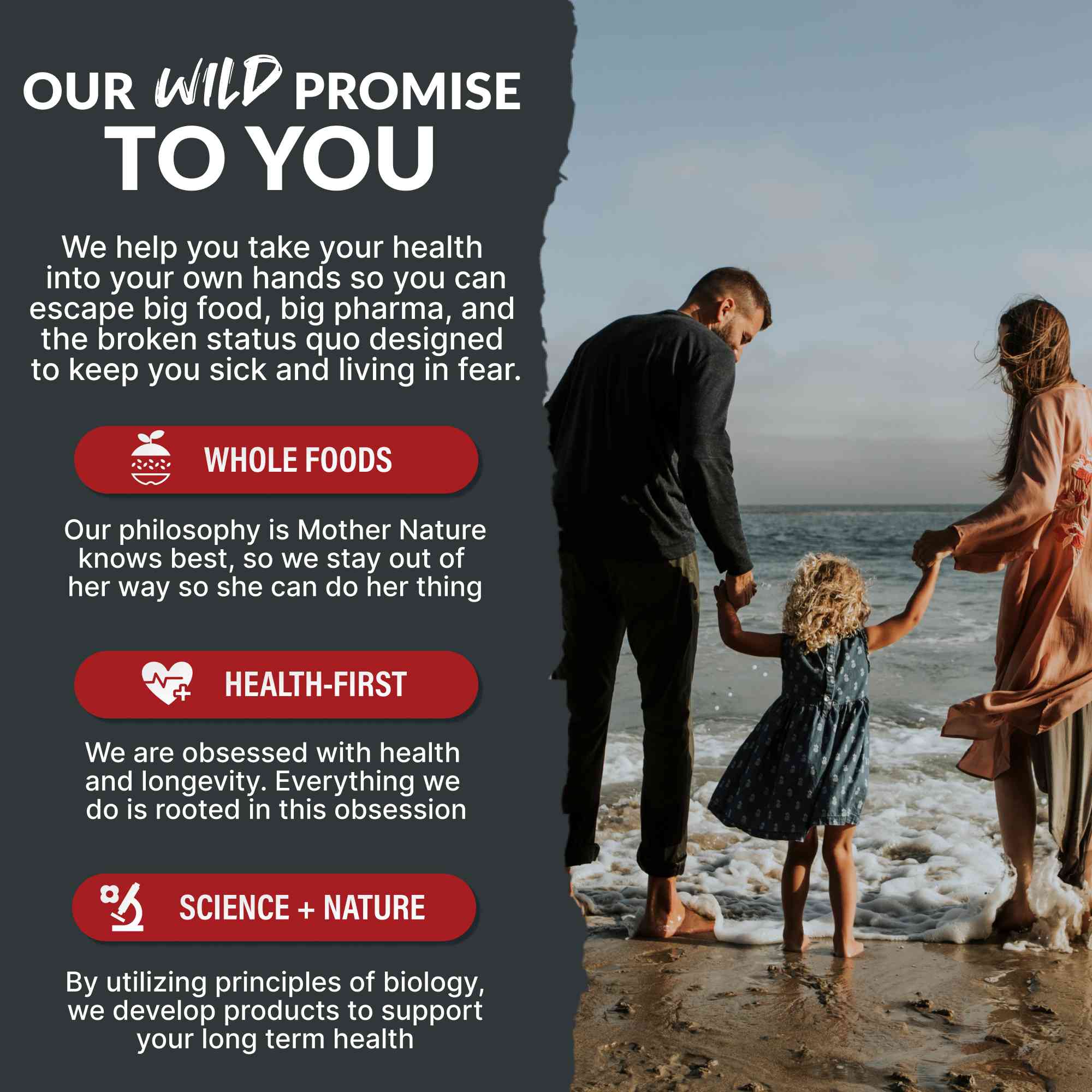 Focus Nootropic Blend, 30 servings – Cognitive Support for Memory & Focus by Wild Foods